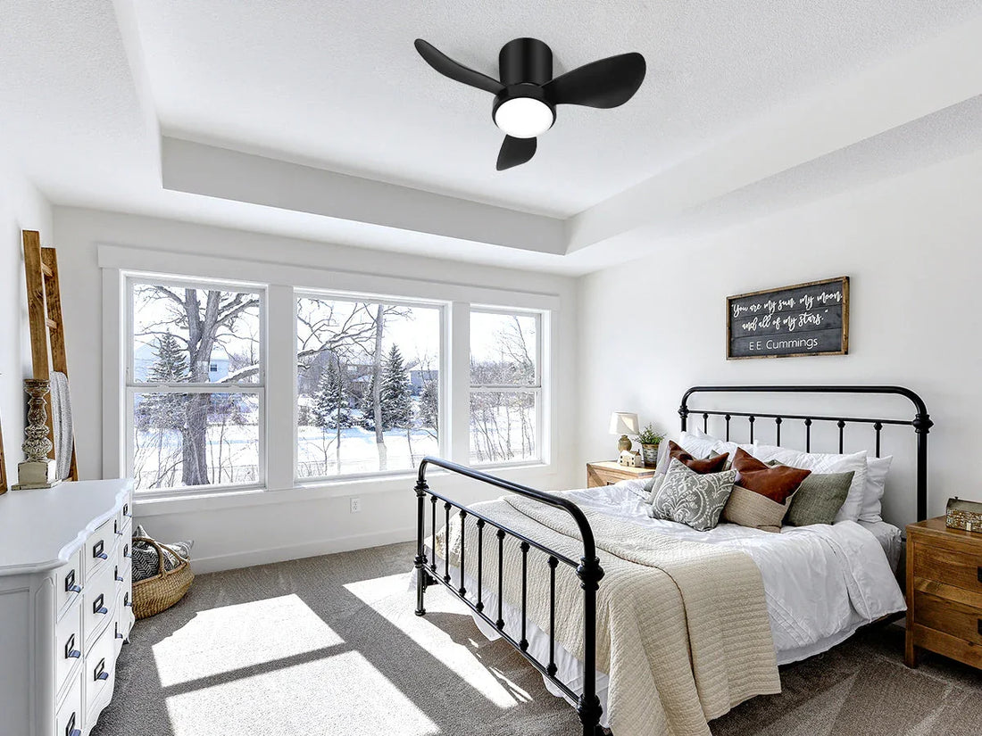 fan lights