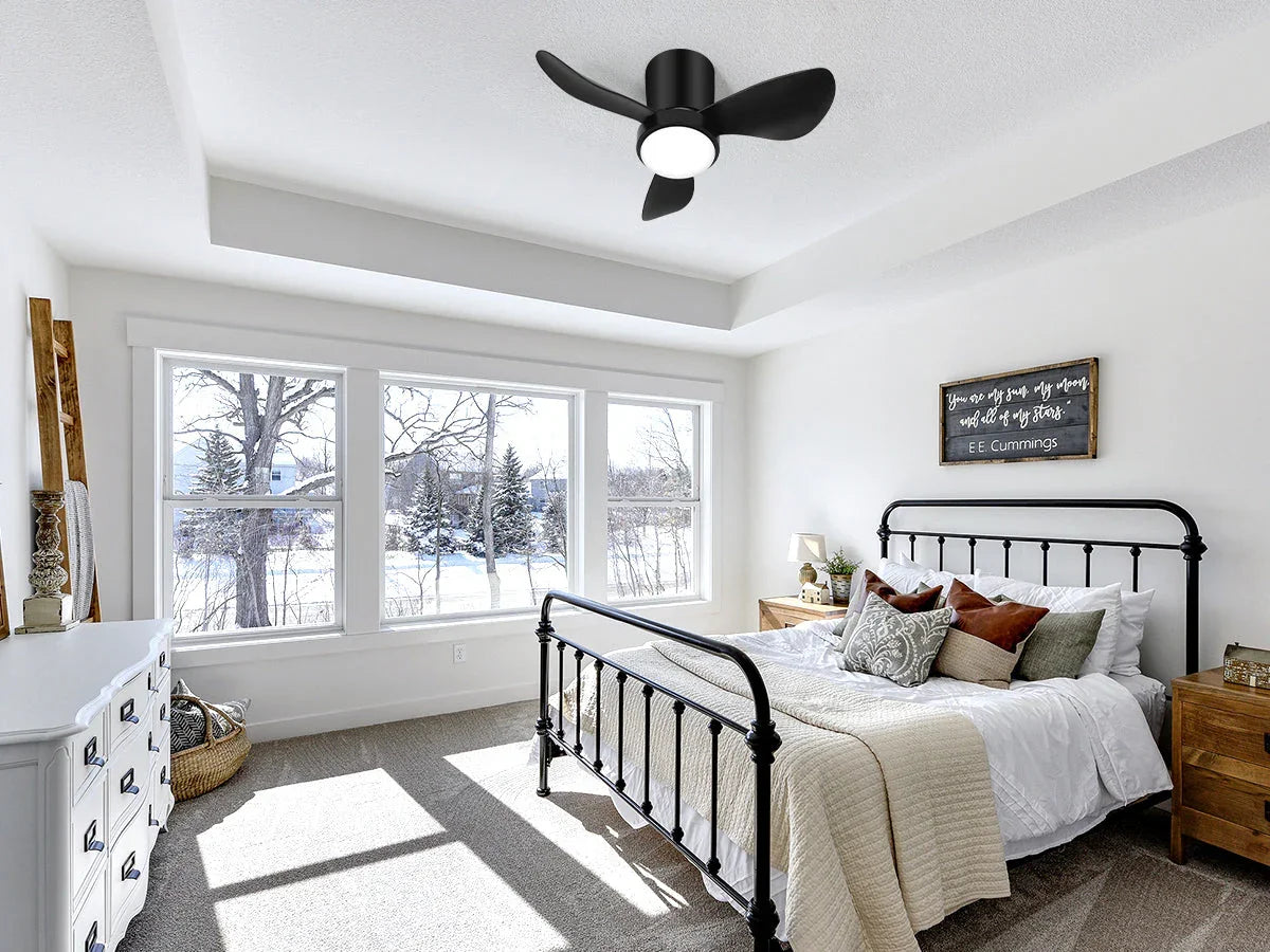 fan lights