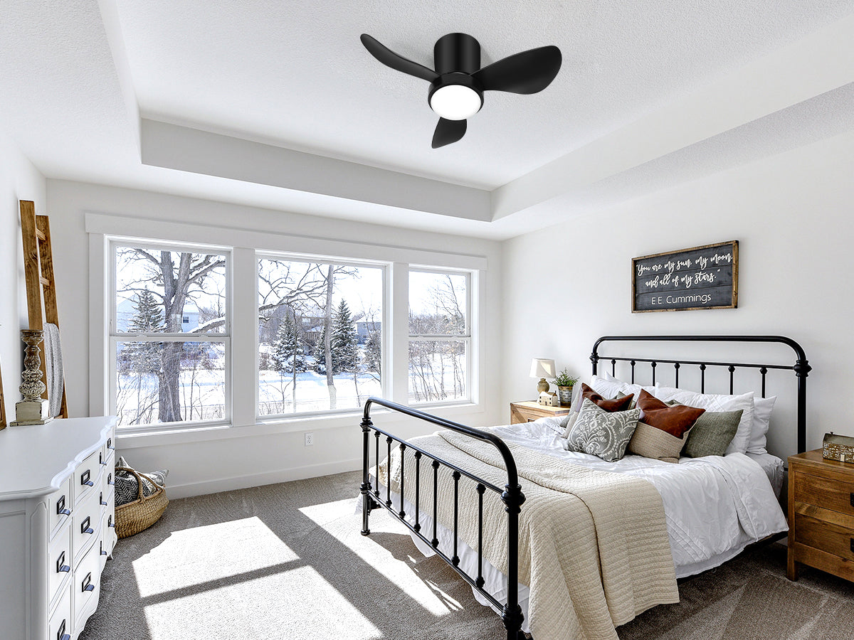 fan lights