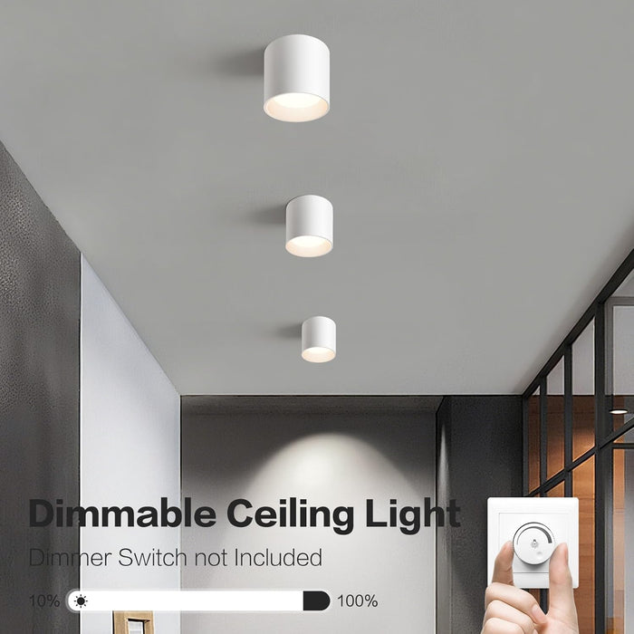 OKELI White Hallway Flush Mount Ceiling Light Fixtures , Modern LED Dimmable Close to Ceiling Lighting, 4.6'' Cylinder Ceiling Lamps for Dining Room Living Room, 20W 4000K 3 Pack