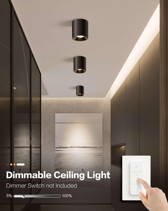 Cylinder Down Ceiling Spotlight