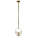 Pendant Lamp Coarse Gold Clear Glass Chic Interior Lighting - okeli lights