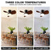 Ceiling Fan with Light Flush Mount, Small Low Profile 6-Speeds Quiet Reversible Timer, Wood Grain - okeli lights