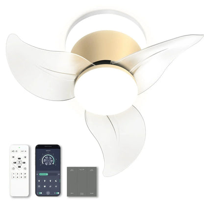 OKELI Modern Gold Ceiling Fan with Lights APP Control Adjustable Color - okeli lights