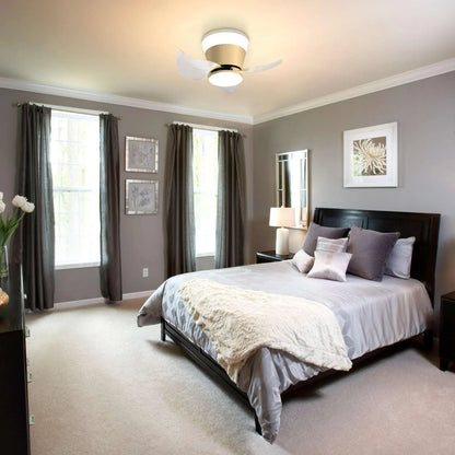 OKELI Modern Gold Ceiling Fan with Lights APP Control Adjustable Color - okeli lights