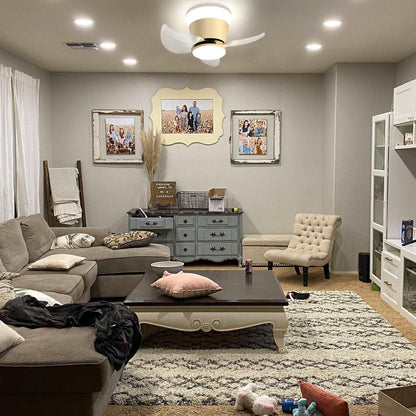 OKELI Modern Gold Ceiling Fan with Lights APP Control Adjustable Color - okeli lights