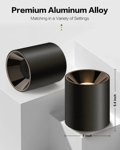 OKELI Flush Mount Matte Black Cylinder Down Ceiling Spotlight Modern Dimmable LED 1-Pack - okeli lights