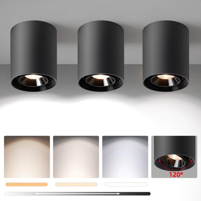 Modern LED Dimmable Ceiling Light Fixtures 20W 1300LM 2700K-6000K Flush Mount Close Lighting
