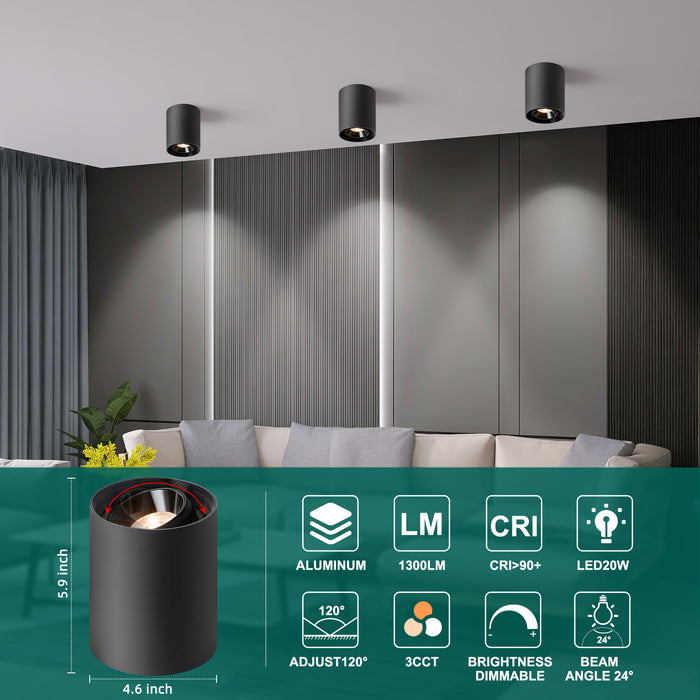 Modern LED Dimmable Ceiling Light Fixtures 20W 1300LM 2700K-6000K Flush Mount Close Lighting