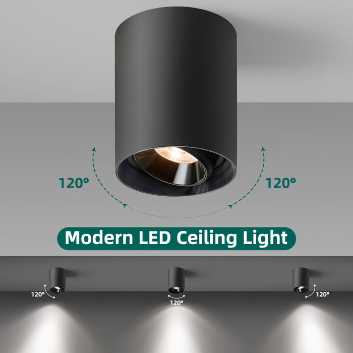 Modern LED Dimmable Ceiling Light Fixtures 20W 1300LM 2700K-6000K Flush Mount Close Lighting