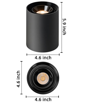 Modern LED Dimmable Ceiling Light Fixtures 20W 1300LM 2700K-6000K Flush Mount Close Lighting