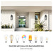 Outdoor Wall Lanterns Black Metal Frame Clear Glass Ambient Light Sensors Weatherproof Wall Sconces 2Pack - okeli lights