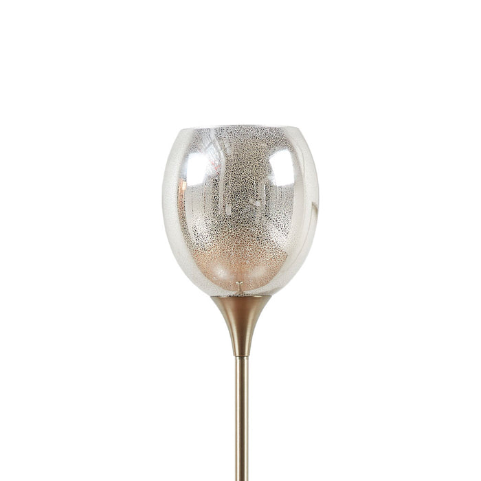 Simple Elegant Uplight Floor Lamp with Mercury Glass Shade
