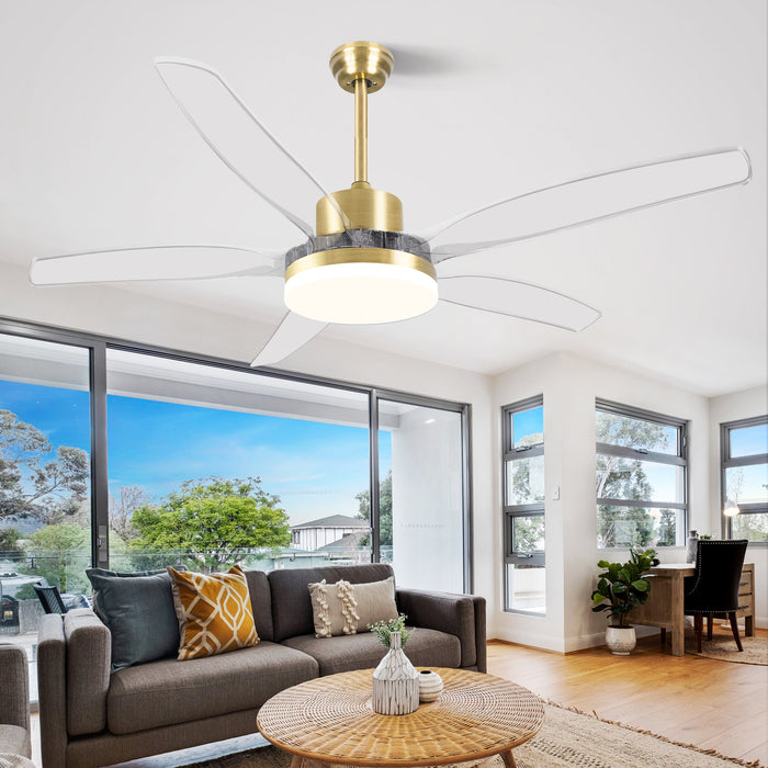 Smart Ceiling Fan with Light Modern Clear Blades Gold Reversible Dimmable LED