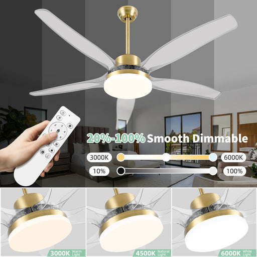A smart ceiling fan with modern clear blades and a gold reversible dimmable LED light, displayed in various lighting settings.