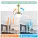 Ceiling fan with clear blades and reversible function