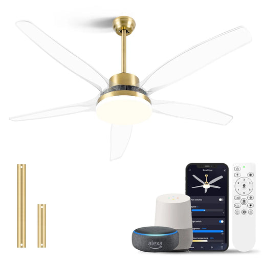 Smart Ceiling Fan with Light Modern Clear Blades Gold Reversible Dimmable LED - okeli lights