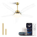 A modern smart ceiling fan with clear blades and a gold reversible dimmable LED light, displayed in a living room setting.