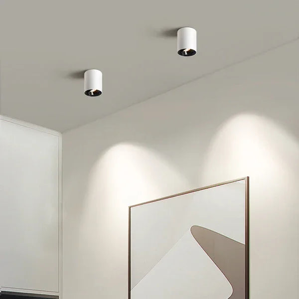 Modern LED Dimmable Ceiling Light Fixtures 20W 1300LM 2700K-6000K Flush Mount Close Lighting - okeli lights