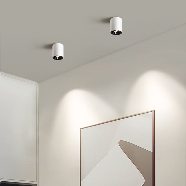 Modern LED Dimmable Ceiling Light Fixtures 20W 1300LM 2700K-6000K Flush Mount Close Lighting